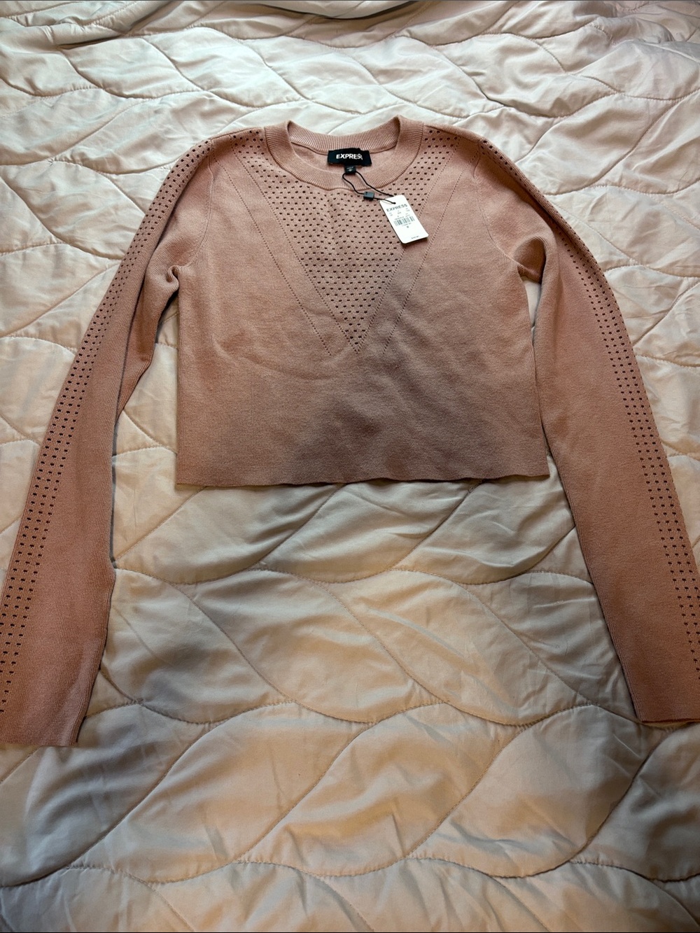 Express Dusty Rose Perforated Crewneck Sweater